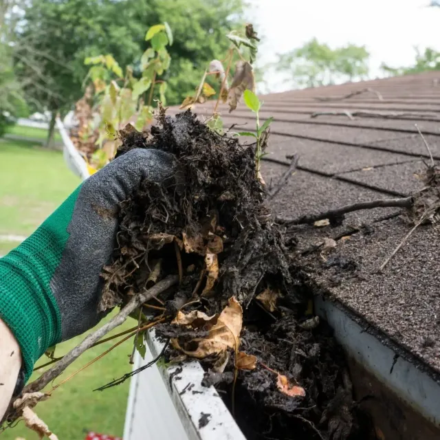 Technician removing wet leaves and debris during gutter cleaning services in New Prague, MN