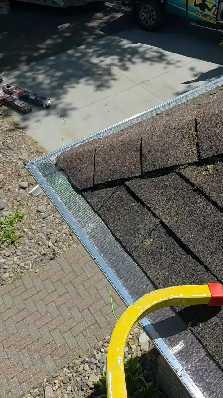 Clean gutter screen installed along a shingle roof on a New Prague, MN home