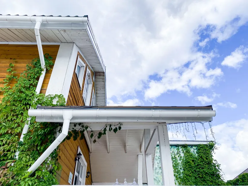 Modern house exterior with white gutters, ivy-covered walls, and a blue sky