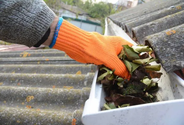 A person wearing orange gloves is cleaning a gutter with leaves.