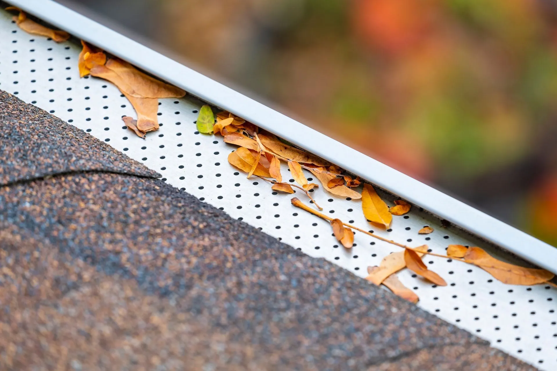 Roof edge with rain gutter filled with autumn leaves and debris