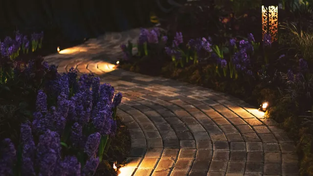 landscape lighting installation services in New Prague, MN